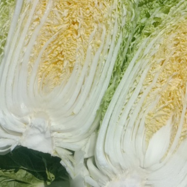 我处各种蔬菜大量上市，一手货源，质优价廉，一条龙服务