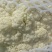 我处各种蔬菜大量上市，一手货源，质优价廉，一条龙服务