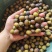 【现货供应】太空莲蓬新鲜莲蓬莲子湖南湘莲应季水果嫩莲米