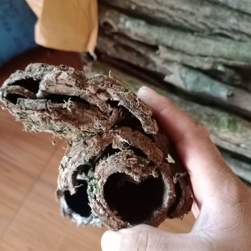 批发贵州野生本地杜仲皮，新货直批，大量供应欢迎订购