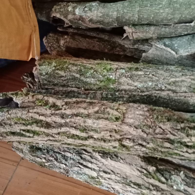 批发贵州野生本地杜仲皮，新货直批，大量供应欢迎订购