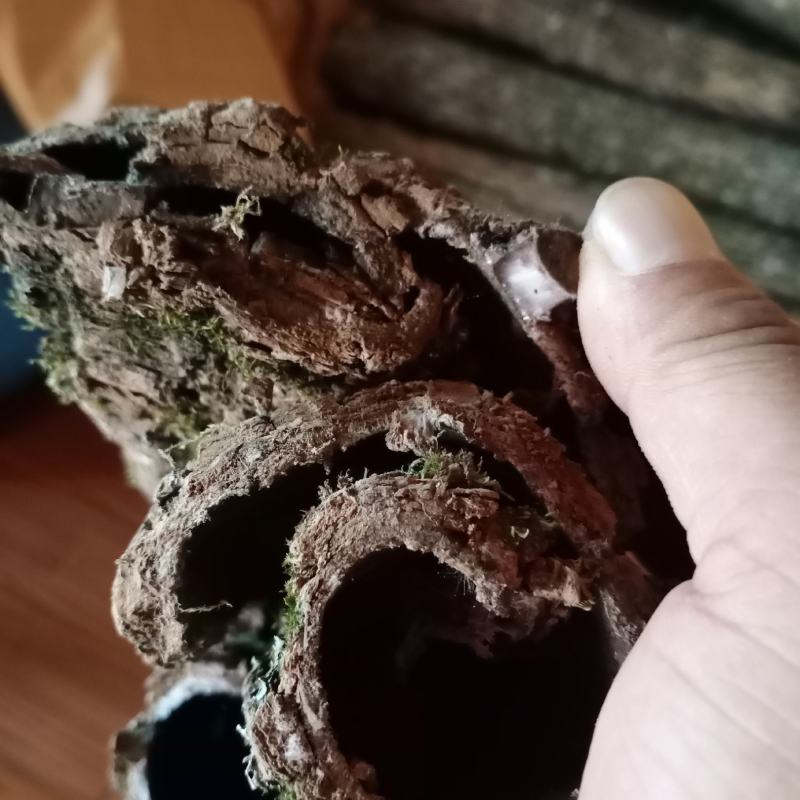 批发贵州野生本地杜仲皮，新货直批，大量供应欢迎订购
