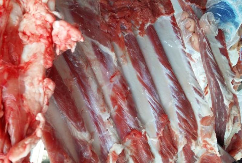 鲜牛肉，西门塔尔公牛每天现宰【内蒙古】牧场直供，每天现宰