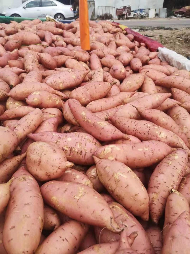精品龙九红薯️，三两以上，水洗，干货，产地直发欢迎采购！