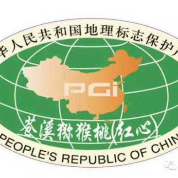 一件代发苍溪红心猕猴桃包邮也可组织代办地头价可讲