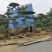 精品造型松造型黑松庭院松盆景平顶松迎客松
