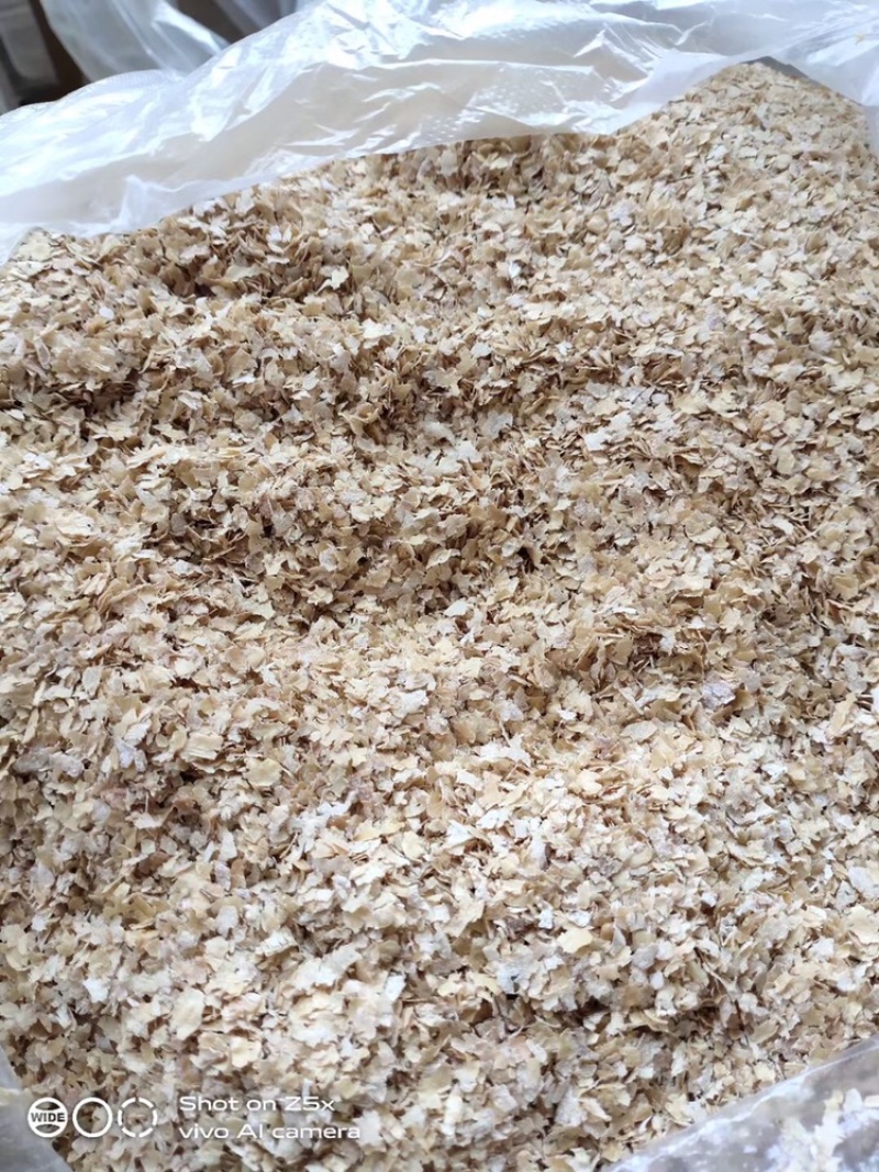 大片麦麸皮，粗麸皮，细麸皮，混合麸，牛羊鸡鸭鹅