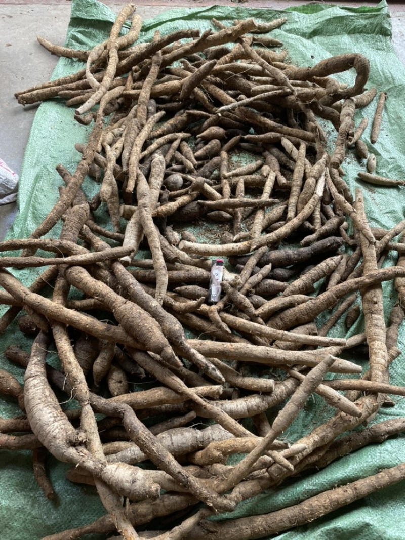 广西货牛大力纯野生资源粉质细腻口感微甜