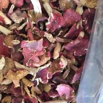 野生红菇伏牛山区优质特产，支持一件，量大从优