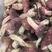 野生红菇伏牛山区优质特产，支持一件代发，量大从优