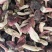 精品【野生片状天然红菇】口感鲜美量大从优产地直发