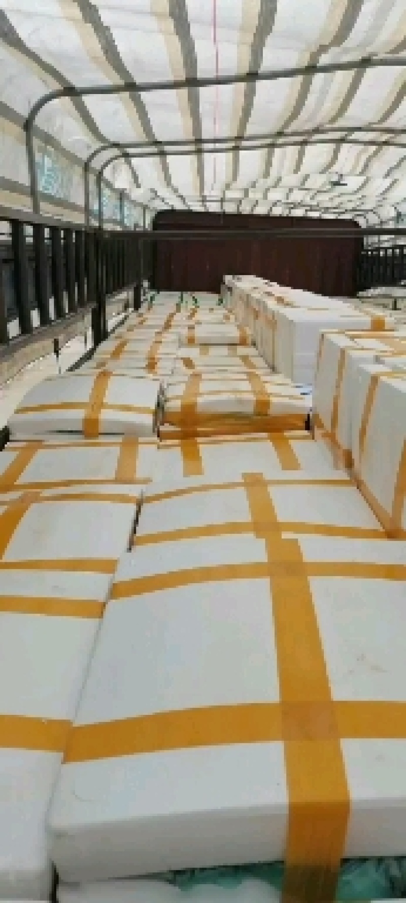 贵州露天黑油密刺青瓜