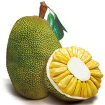云南西双版纳菠萝蜜大量上市对接市场超市电商加工厂