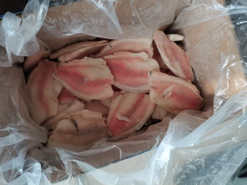 鲷鱼片生鲷鱼片罗非鱼片鲷鱼片生鲷鱼片鱼肉