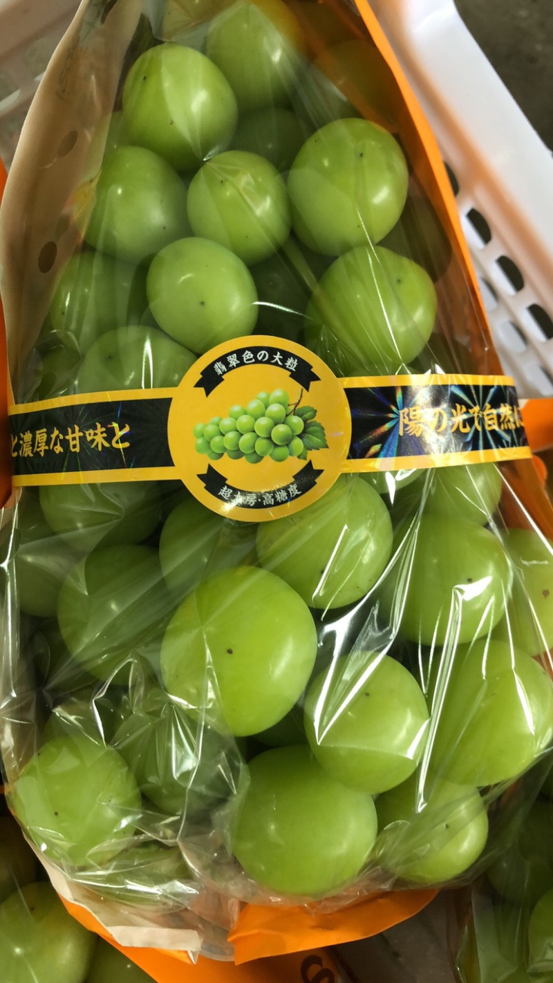 阳光玫瑰葡萄大量出货