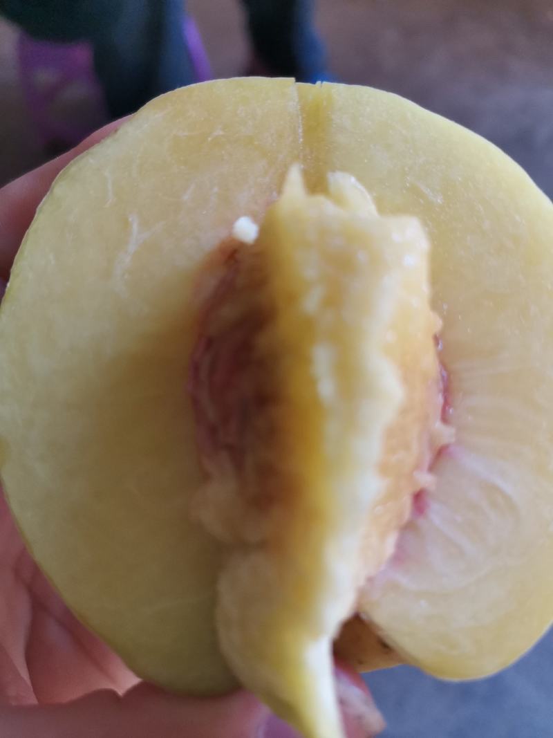 卖黄桃
