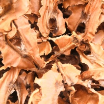 大量批发分心木，全部都是新疆185核桃分心木，手选货无杂