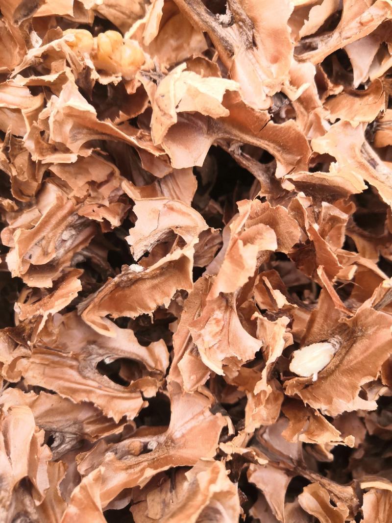 大量批发分心木，全部都是新疆185核桃分心木，手选货无杂