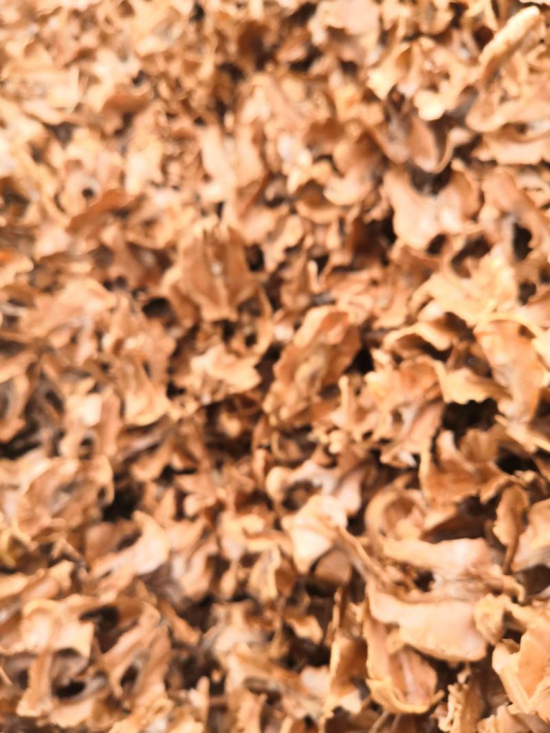 大量批发分心木，全部都是新疆185核桃分心木，手选货无杂