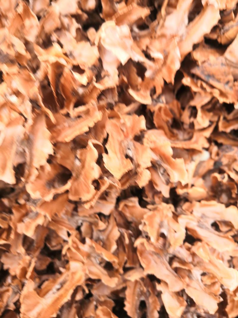 大量批发分心木，全部都是新疆185核桃分心木，手选货无杂