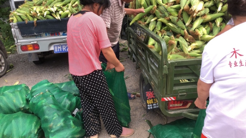 万糯2000大量有货了，需要的速度下单