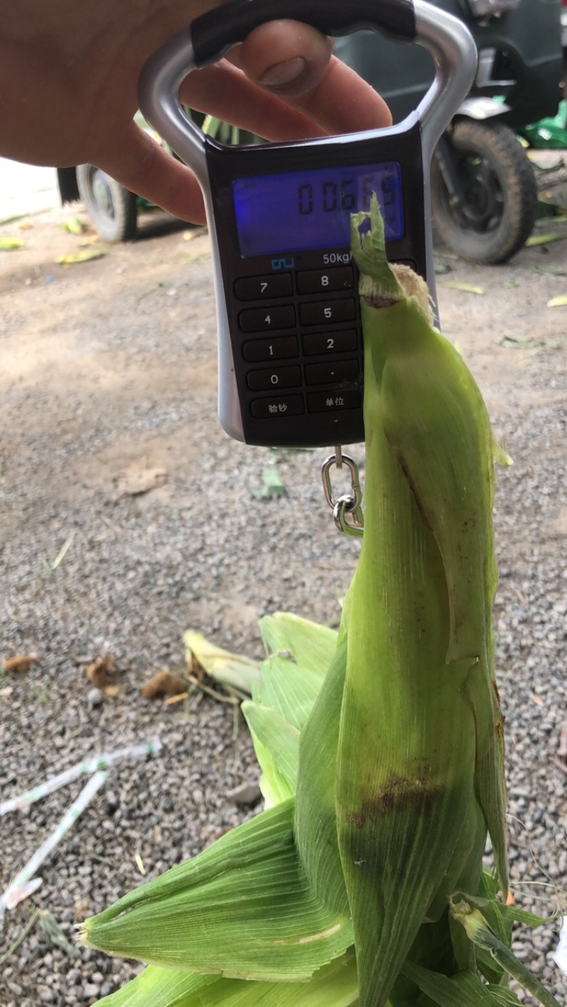 万糯2000大量有货了，需要的速度下单