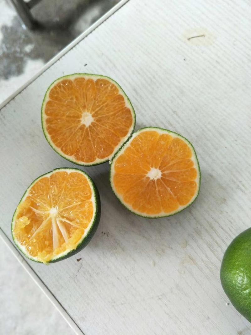 蜜橘宜昌蜜橘，特早蜜橘果面干净，产地直发