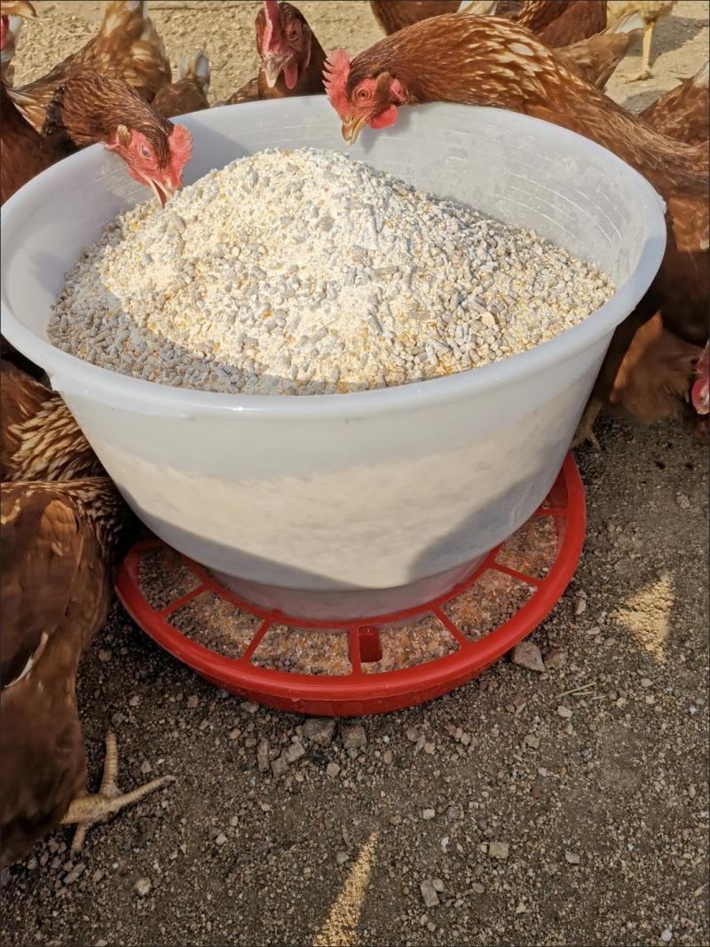 养鸡设备料桶饲料桶饮水器食桶食盆鸡鸭鹅自动下料桶