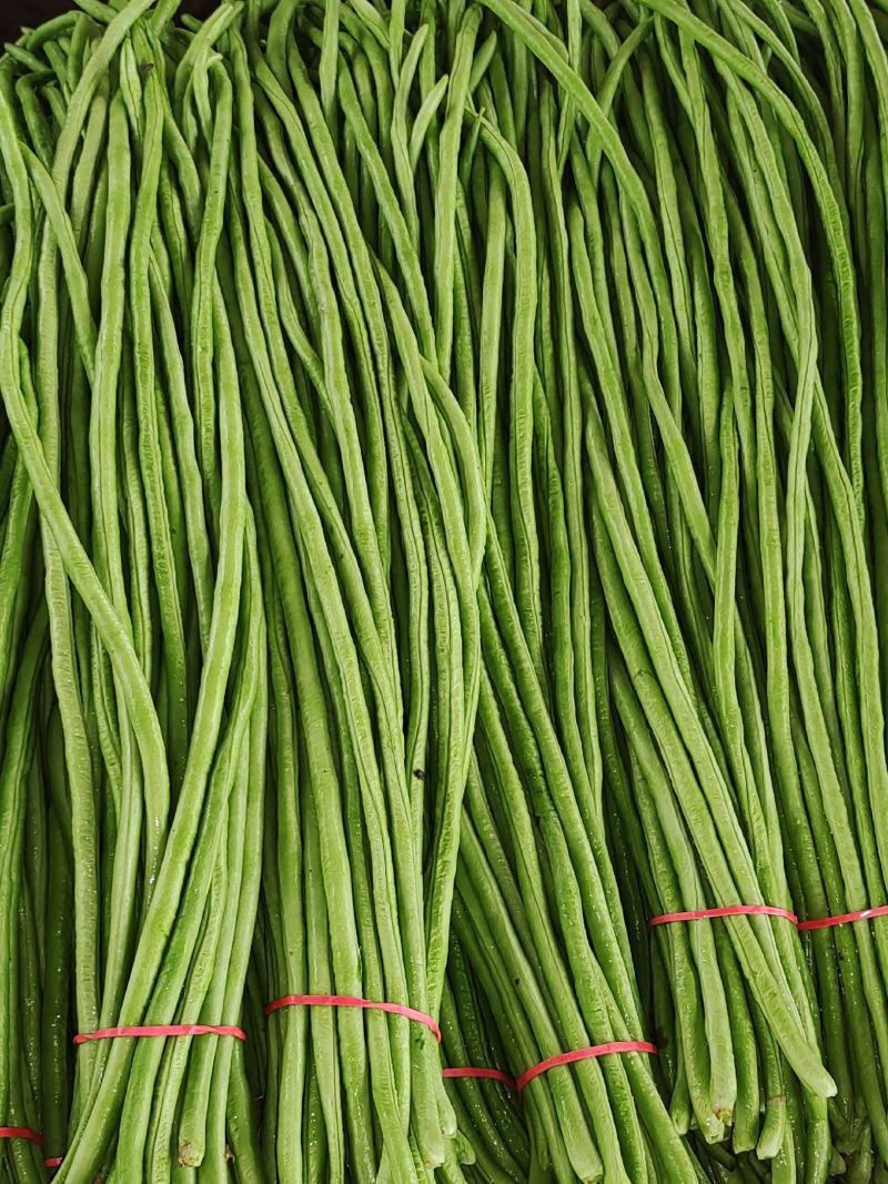 豆角，豇豆，长豆角产地直销商超电商加工厂发货全国
