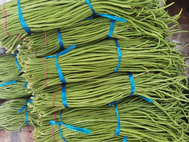 【荐】精品长豆角产地直销商超电商加工厂发货全国