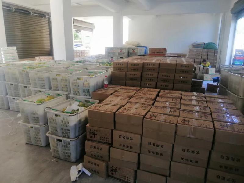 攀枝花椰香，一件代发，大量供应，产地直发，欢迎下单
