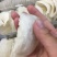 燕窝蜜盏质量货白盏95干一盒500克