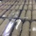 燕窝蜜盏质量货白盏95干一盒500克