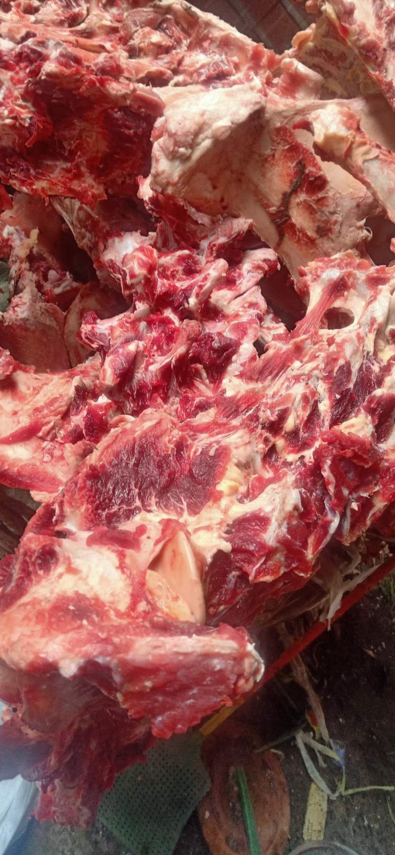 牛大梁，熬汤吃肉都可以的牛大梁骨