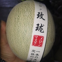 网纹瓜维坊寿光万亩哈密瓜基地对接批发商超市电商货源充足