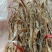 小笋干，竹林小干笋，是太阳晒干的笋干，电烤干的笋干。