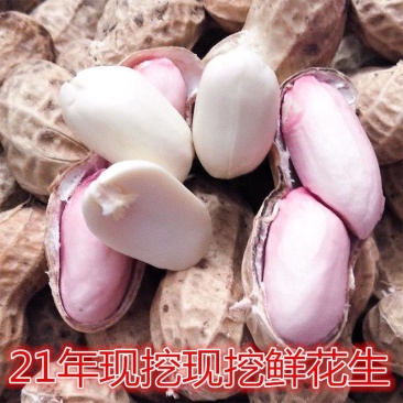 鲜花生电商一件代发整车发货