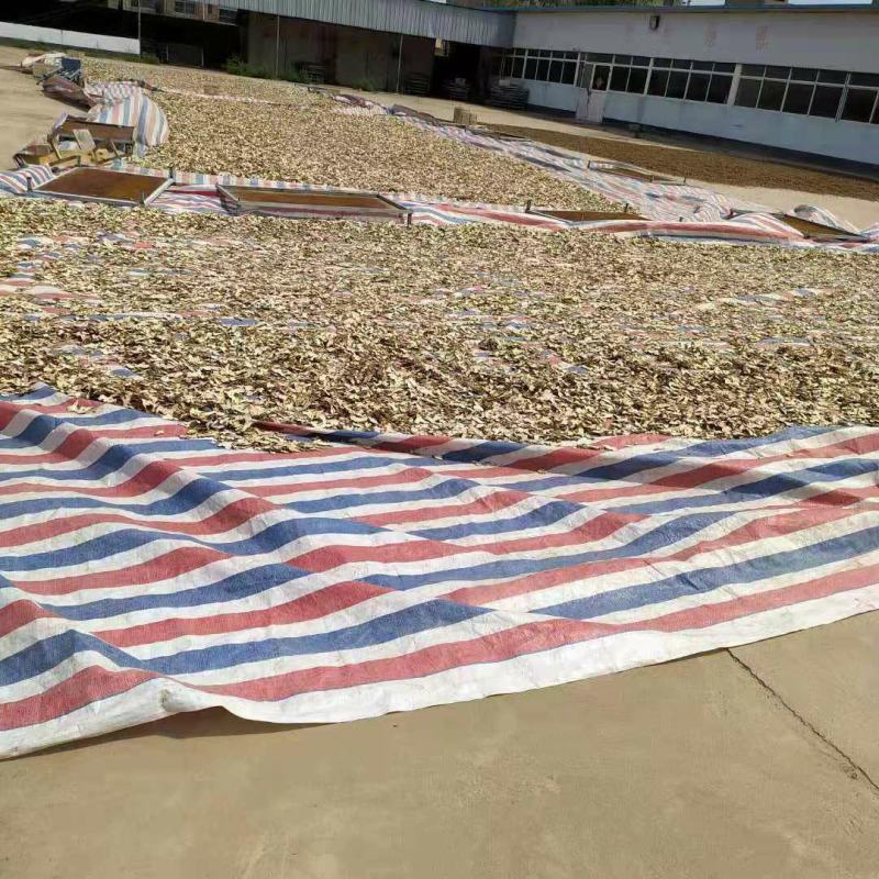 腊梅花产地直供支持线上交易可搭配多品种采购