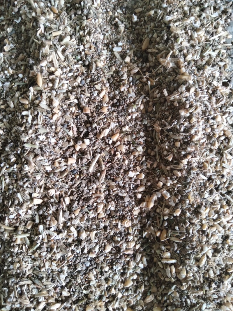 精品碎小麦常年有货。低价位出售