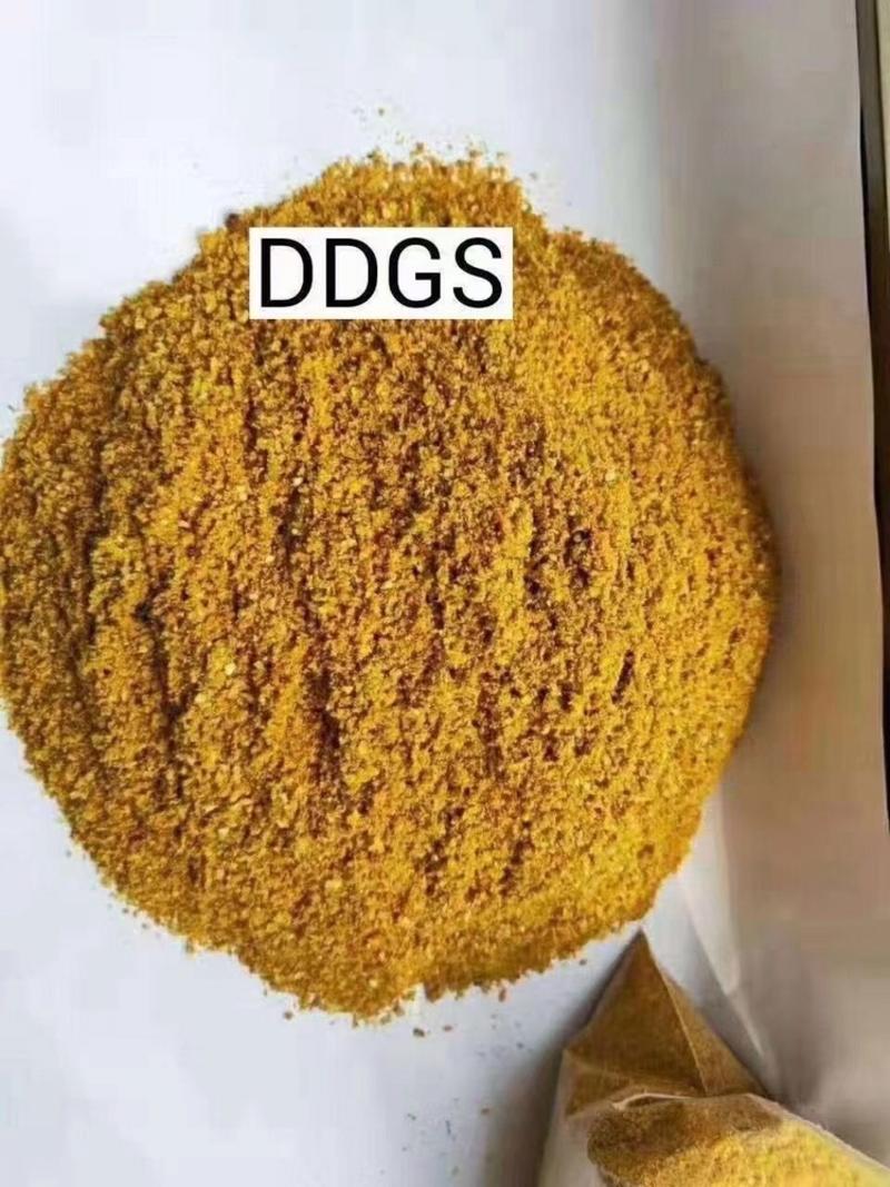 DDGS玉米酒糟可代替豆粕玉米鱼粉富含粗纤维