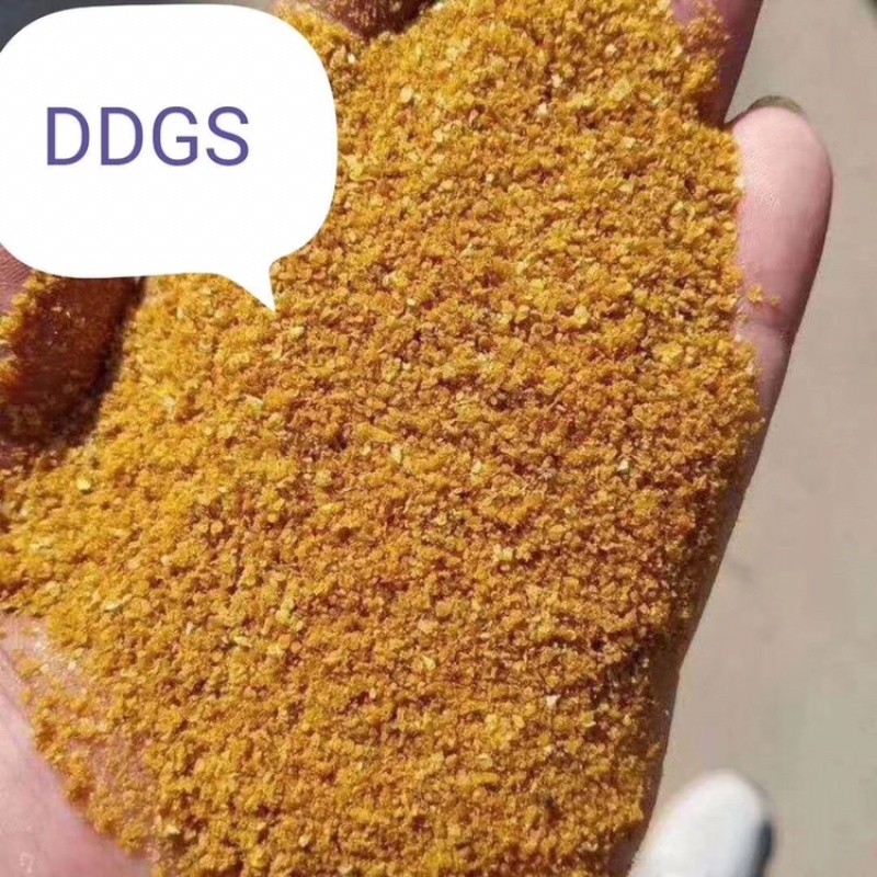 DDGS玉米酒糟可代替豆粕玉米鱼粉富含粗纤维