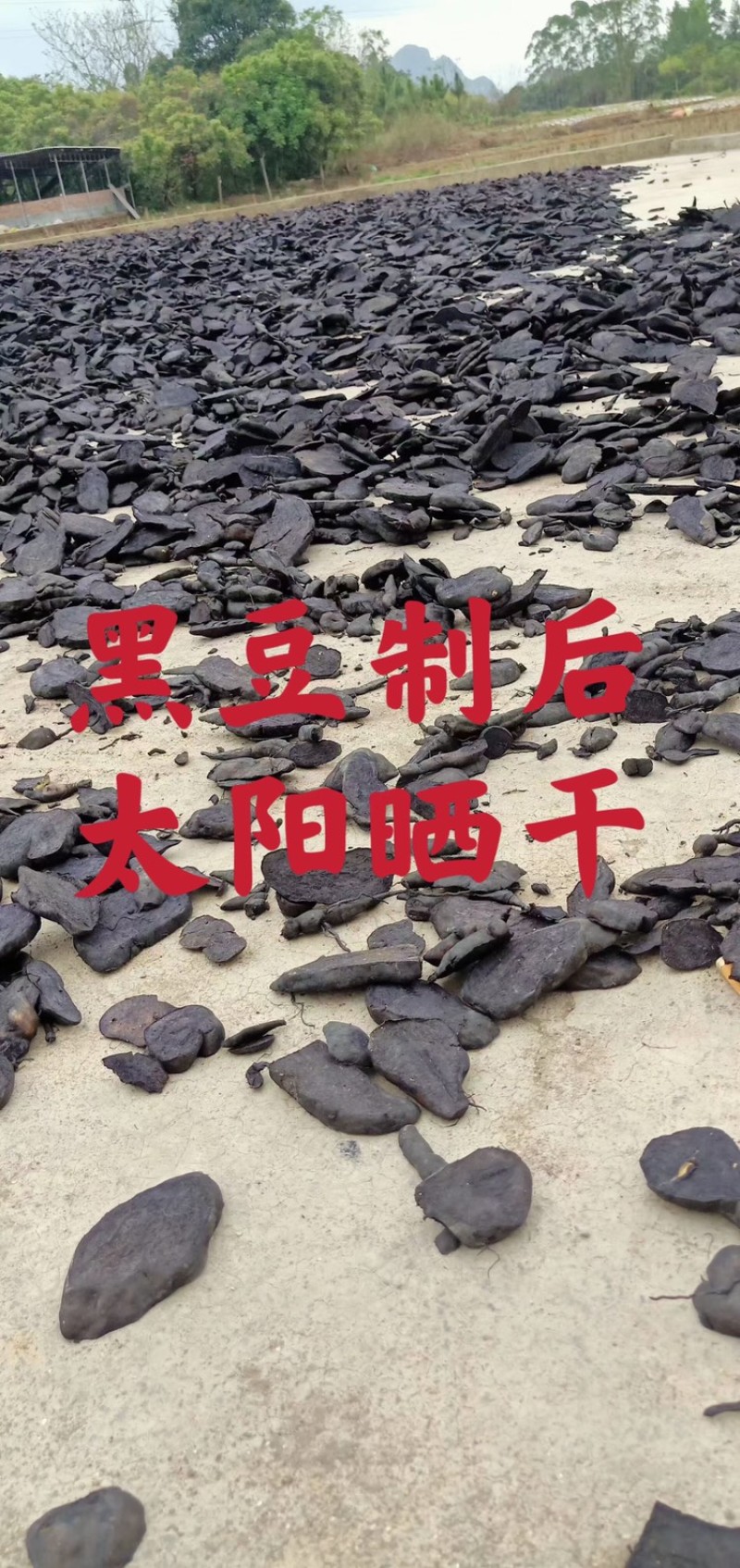 何首乌精制精选包邮产地直发2023年5月新货自家种植炮制