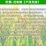 精拿地稳75%肟菌戊唑醇水稻纹枯病锈病炭疽白粉病杀菌剂