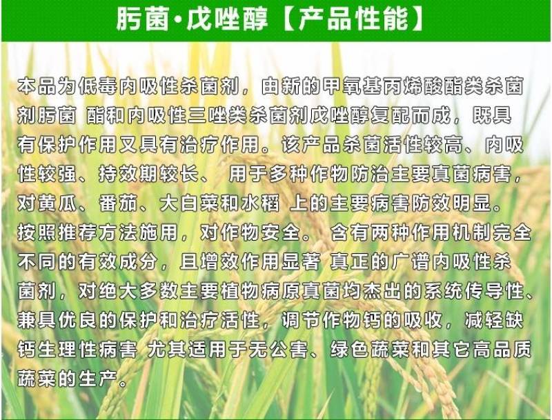 精拿地稳75%肟菌戊唑醇水稻纹枯病锈病炭疽白粉病杀菌剂