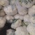 《精选》有机花菜松花菜，全国发货，量大从优价格合理