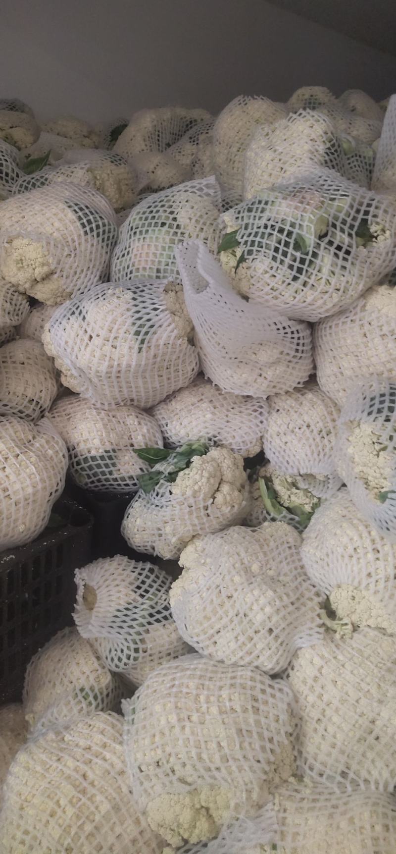 《精选》有机花菜松花菜，全国发货，量大从优价格合理
