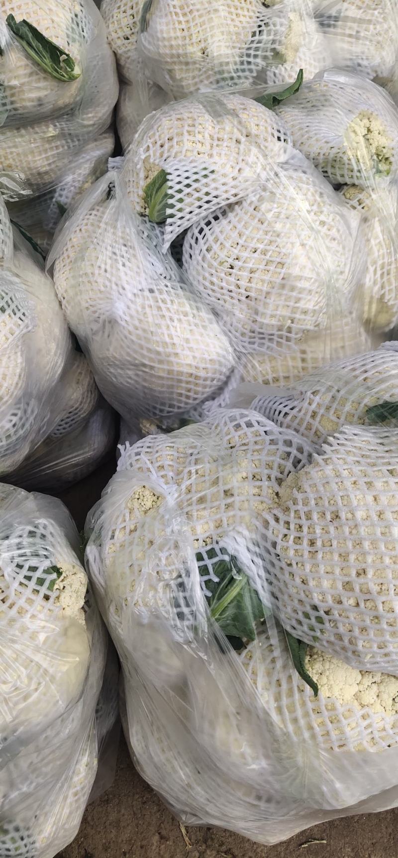 《精选》有机花菜松花菜，全国发货，量大从优价格合理