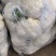 《精选》有机花菜松花菜，全国发货，量大从优价格合理
