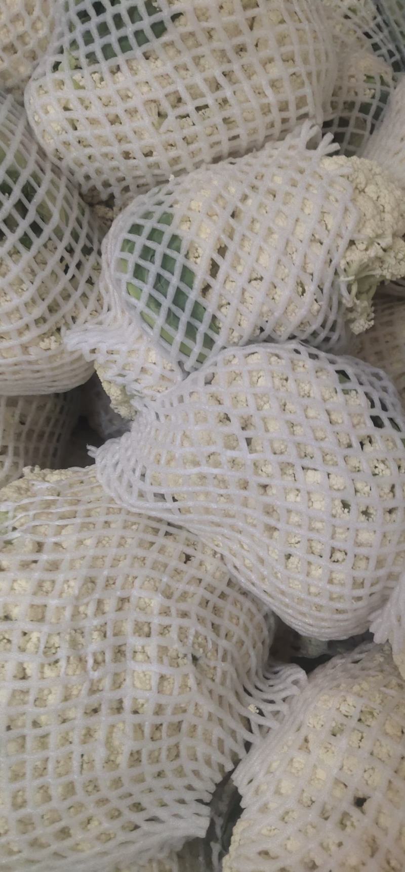 《精选》有机花菜松花菜，全国发货，量大从优价格合理