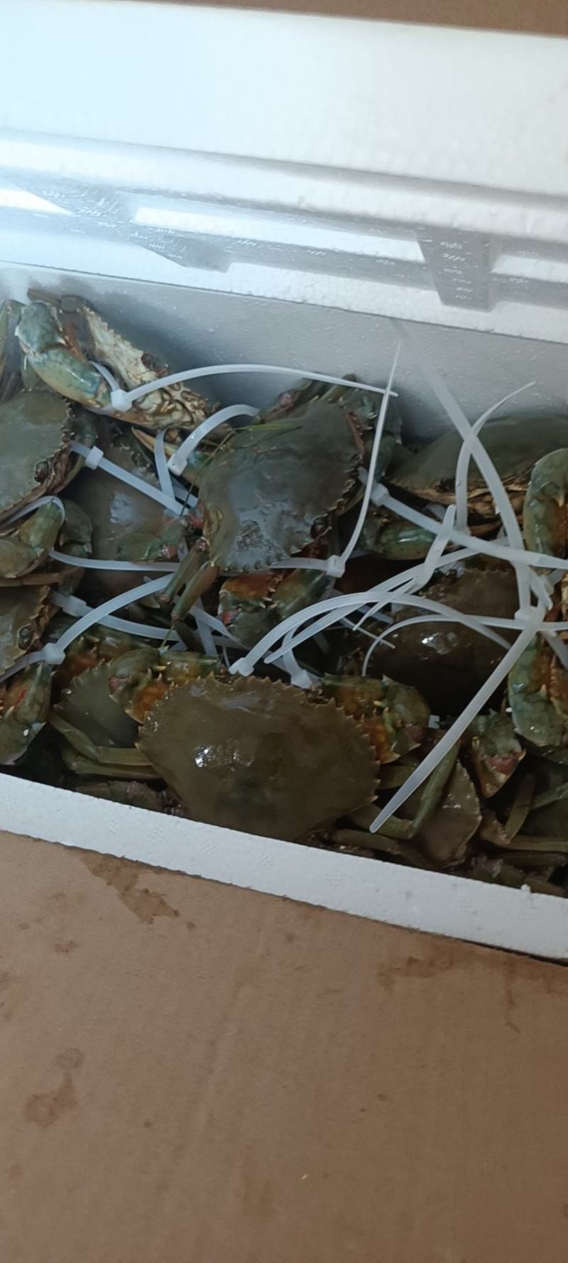 青蟹